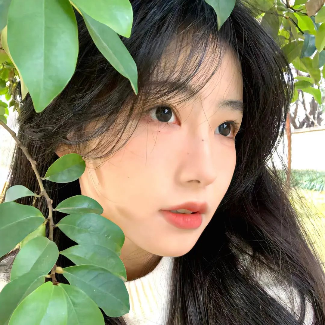 希莉丝在纽约